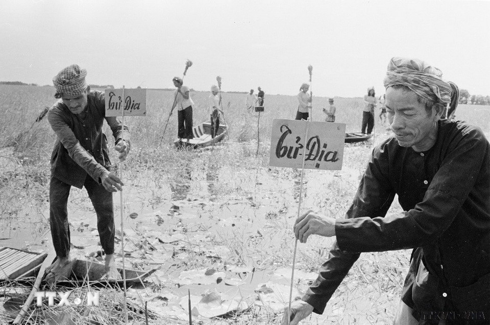 Đồng bào các xã Bình Hưng, Bình Thạnh (tỉnh Kiến Phong) cắm chông chống địch, bảo vệ vùng giải phóng, bảo vệ sản xuất. (Ảnh: TTXVN)