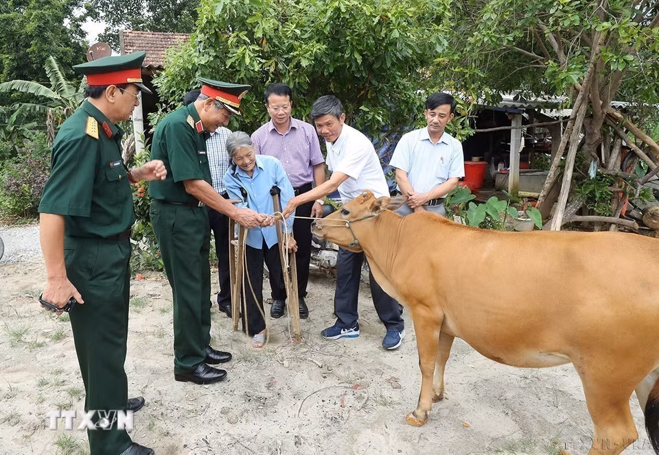 Đoàn công tác Hội Hỗ trợ khắc phục hậu quả bom mìn Việt Nam trao tặng bò cho bà Lê Thị Liên ở thôn 1 Phúc Đồng, xã Phúc Trạch, huyện Bố Trạch. Năm 1968, nhà bà Liên bị trúng bom địch khiến mẹ và chị gái bà bị giết hại, bà Liên bị đứt một chân, đời sống gặp nhiều khó khăn. (Ảnh: Lâm Khánh/TTXVN)
