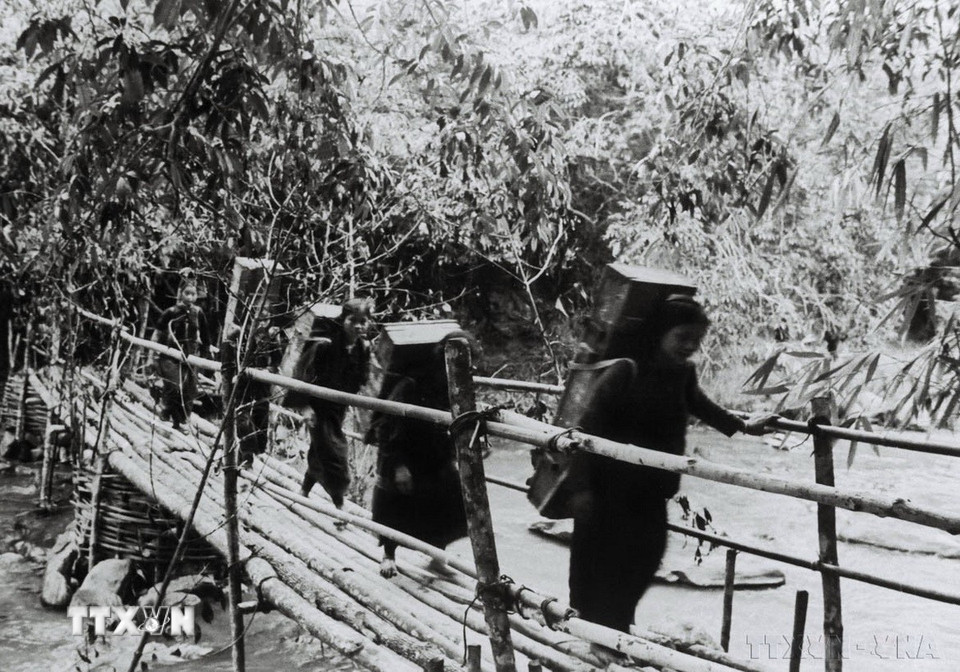 Trong Chiến dịch Tây Nguyên, ta không chỉ xây dựng được lực lượng với khả năng tác chiến binh chủng hợp thành, mà còn có sự chuẩn bị chu đáo về lực lượng hậu cần, kỹ thuật phục vụ. Trong ảnh: Đồng bào Tây Nguyên gùi đạn tiếp tế cho bộ đội trong trận đánh căn cứ Đắc Pét (Kon Tum). (Ảnh: Hà Mùi/TTXVN)