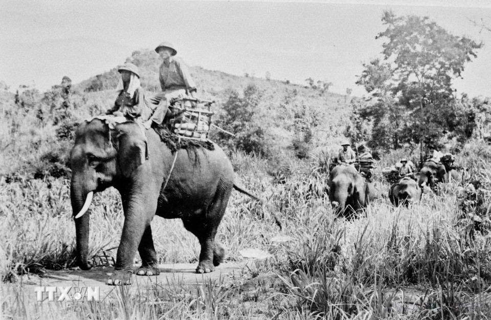 Trong Chiến dịch Tây Nguyên, ta không chỉ xây dựng được lực lượng với khả năng tác chiến binh chủng hợp thành, mà còn có sự chuẩn bị chu đáo về lực lượng hậu cần, kỹ thuật phục vụ. Trong ảnh: Bộ đội vận tải thuộc đơn vị 250 (Gia Lai) chuyển hàng ra chiến trường. (Ảnh: Anh Tôn/TTXVN)