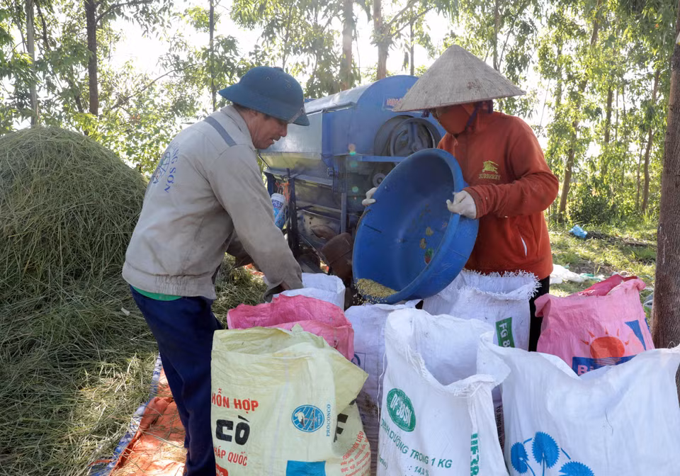 Để tránh nắng, ngoài việc đi làm sớm, nhiều người dân còn tìm những chỗ có bóng cây để sản xuất. (Ảnh: Tạ Toàn/TTXVN)