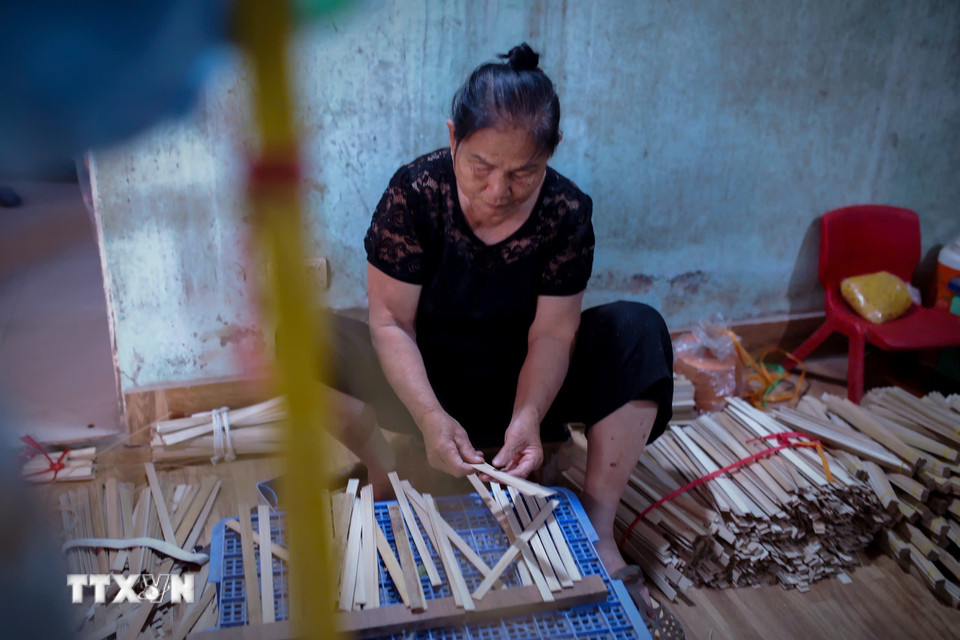 Bà Sáu, nghệ nhân làm quạt được 50 năm đang tỉ mỉ chọn các nan quạt chính. (Ảnh: Phương Anh/TTXVN phát)
