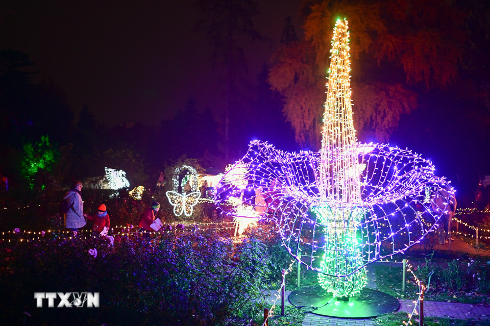 Lễ hội ánh sáng mang tên “Vườn thực vật kỳ ảo” đang diễn ra tại Vườn Bách thảo Đại học Warszawa ở Warsaw, Ba Lan. Du khách đến với Lễ hội sẽ được chiêm ngưỡng những tác phẩm điêu khắc được làm từ hàng triệu bóng đèn led xen lẫn với cây cối trong vườn, tạo nên cảnh tượng lung linh, huyền ảo. (Ảnh: THX/TTXVN)