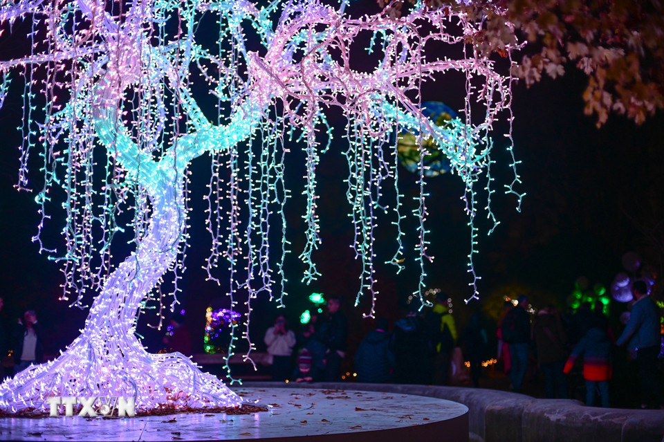 Lễ hội ánh sáng mang tên “Vườn thực vật kỳ ảo” đang diễn ra tại Vườn Bách thảo Đại học Warszawa ở Warsaw, Ba Lan. Du khách đến với Lễ hội sẽ được chiêm ngưỡng những tác phẩm điêu khắc được làm từ hàng triệu bóng đèn led xen lẫn với cây cối trong vườn, tạo nên cảnh tượng lung linh, huyền ảo. (Ảnh: THX/TTXVN)