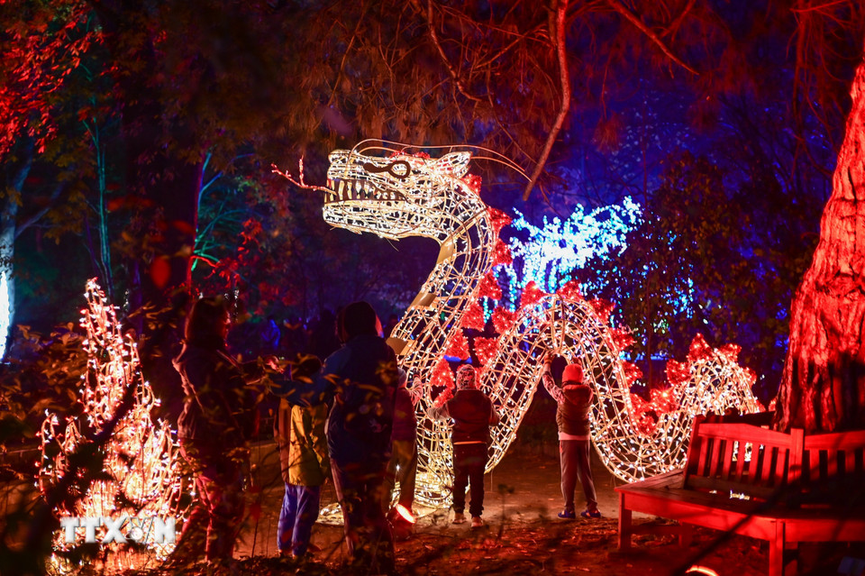 Lễ hội ánh sáng mang tên “Vườn thực vật kỳ ảo” đang diễn ra tại Vườn Bách thảo Đại học Warszawa ở Warsaw, Ba Lan. Du khách đến với Lễ hội sẽ được chiêm ngưỡng những tác phẩm điêu khắc được làm từ hàng triệu bóng đèn led xen lẫn với cây cối trong vườn, tạo nên cảnh tượng lung linh, huyền ảo. (Ảnh: THX/TTXVN)