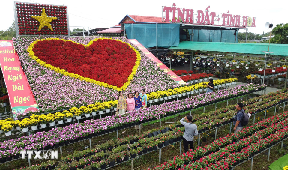 Tổ hợp tác sản xuất và cung ứng hoa, kiểng Tân An là một trong những địa điểm được du khách lựa chọn khi đến với Làng hoa Sa Đéc. (Ảnh: Nhựt An/TTXVN)