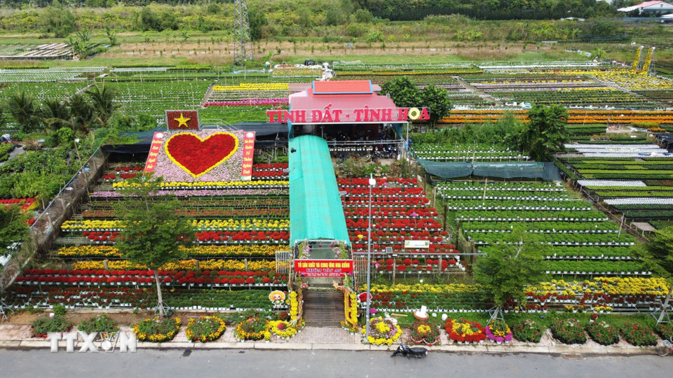 Tổ hợp tác sản xuất và cung ứng hoa, kiểng Tân An sẵn sàng chào đón du khách đến tham quan, chụp ảnh. (Ảnh: Nhựt An/TTXVN)
