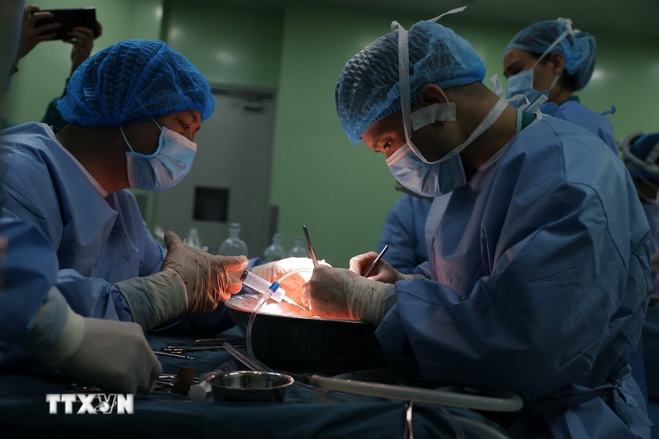 Bác sỹ tiến hành rửa gan ngay sau khi lấy ra từ người hiến. (Ảnh: Minh Quyết/TTXVN)