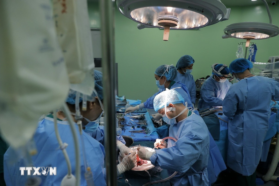 Bác sỹ tiến hành rửa gan ngay sau khi lấy ra từ người hiến. (Ảnh: Minh Quyết/TTXVN)