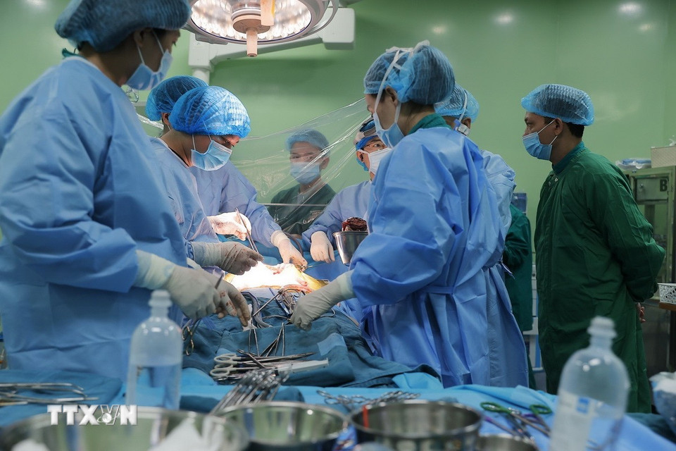 Êkíp lấy phần gan ra từ người hiến. (Ảnh: Minh Quyết/TTXVN)