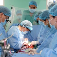 Êkíp bệnh viện Trung ương Huế hiện ghép tim cho bệnh nhân. (Ảnh: TTXVN phát)