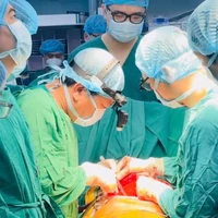 Thầy thuốc ưu tú Đinh Văn Lượng thực hiện một ca ghép phổi cùng các y bác sỹ của Bệnh viện Phổi Trung ương. (Ảnh: PV/Vietnam+)