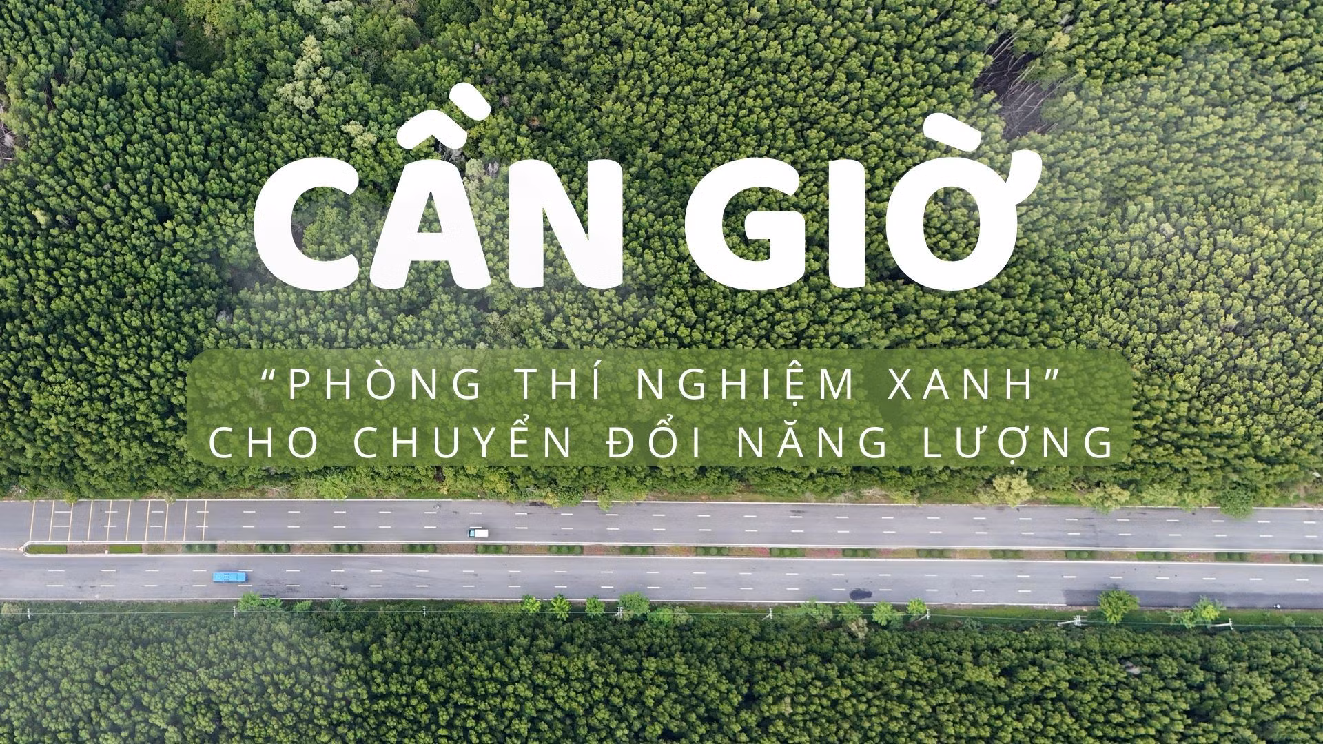 Cần Giờ - “phòng thí nghiệm xanh” cho chuyển đổi Bet88 free 100 tỷ lệ trả thưởng cực hấp dẫn