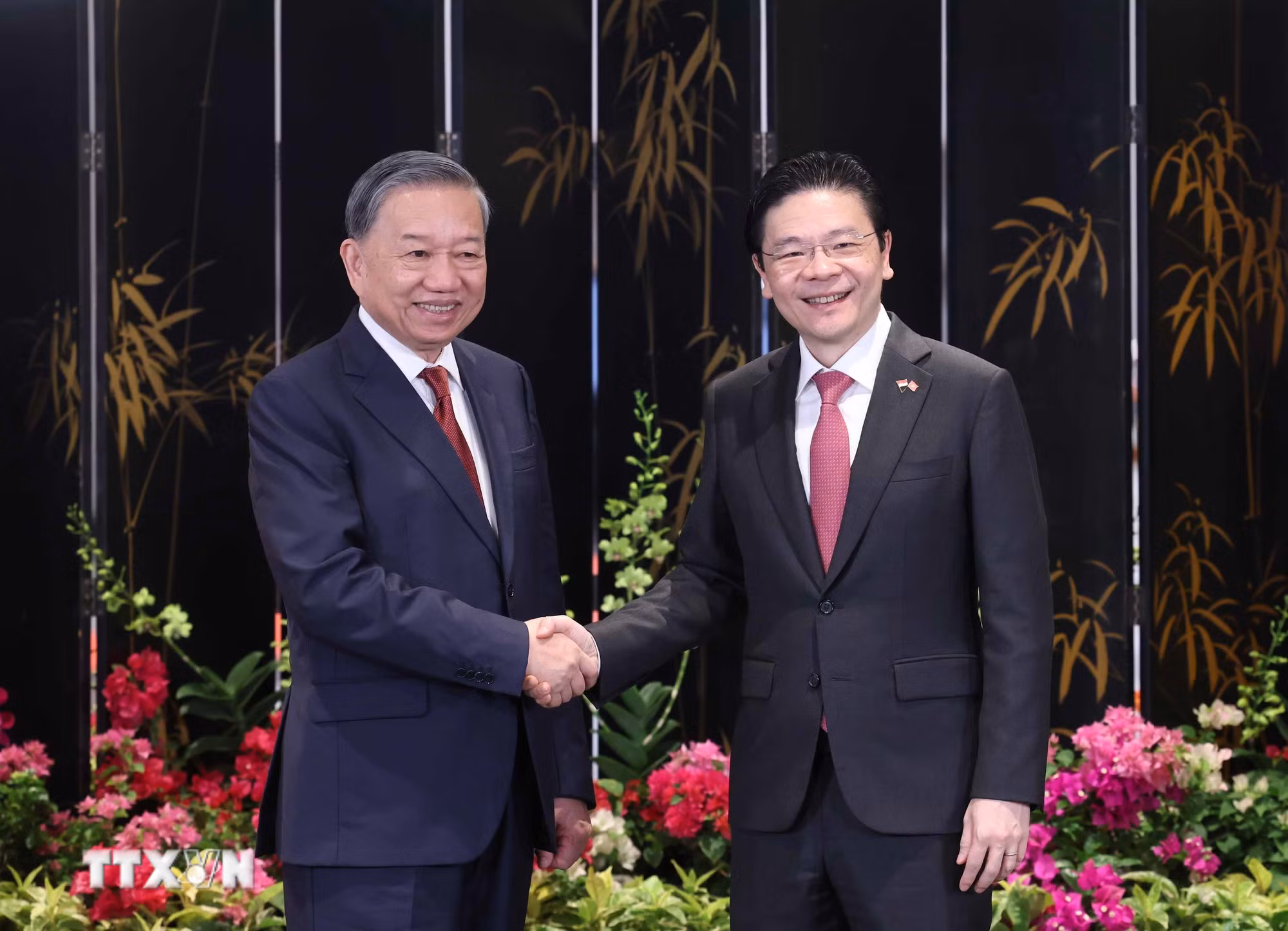 ttxvn-tong-bi-thu-to-lam-va-thu-tuong-singapore-1.jpg