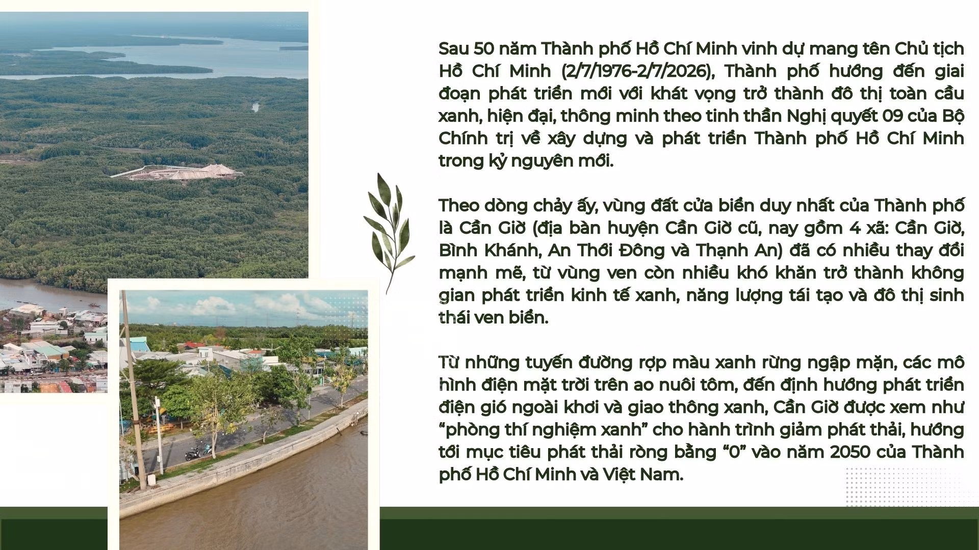 anh-17.jpg