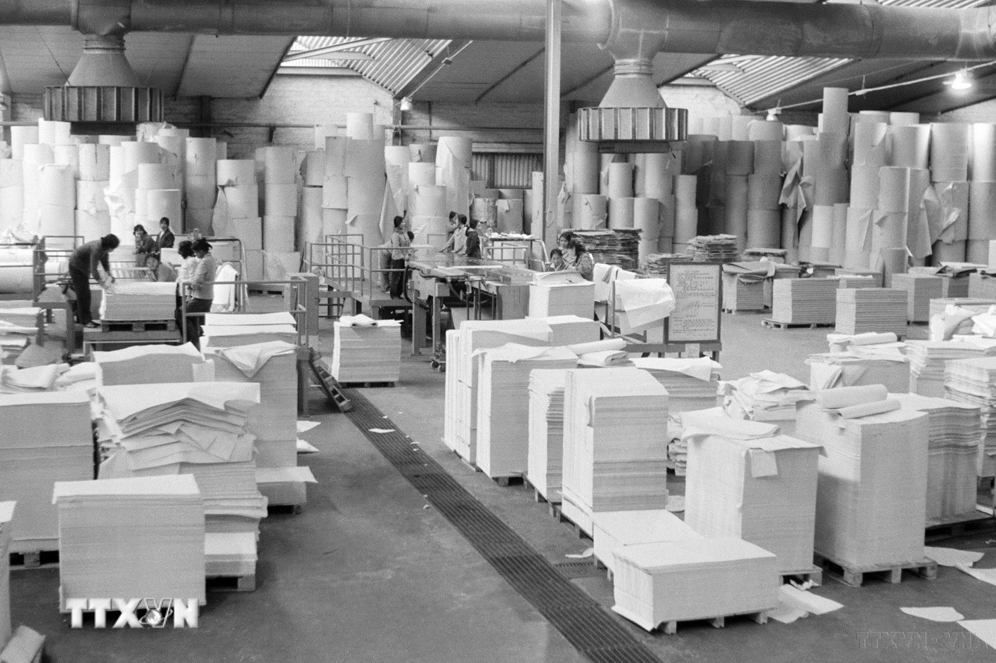 ttxvn-san-xuat-giay.jpg