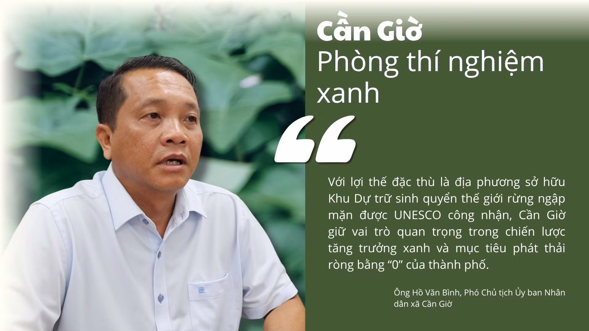 can-gio-4.jpg