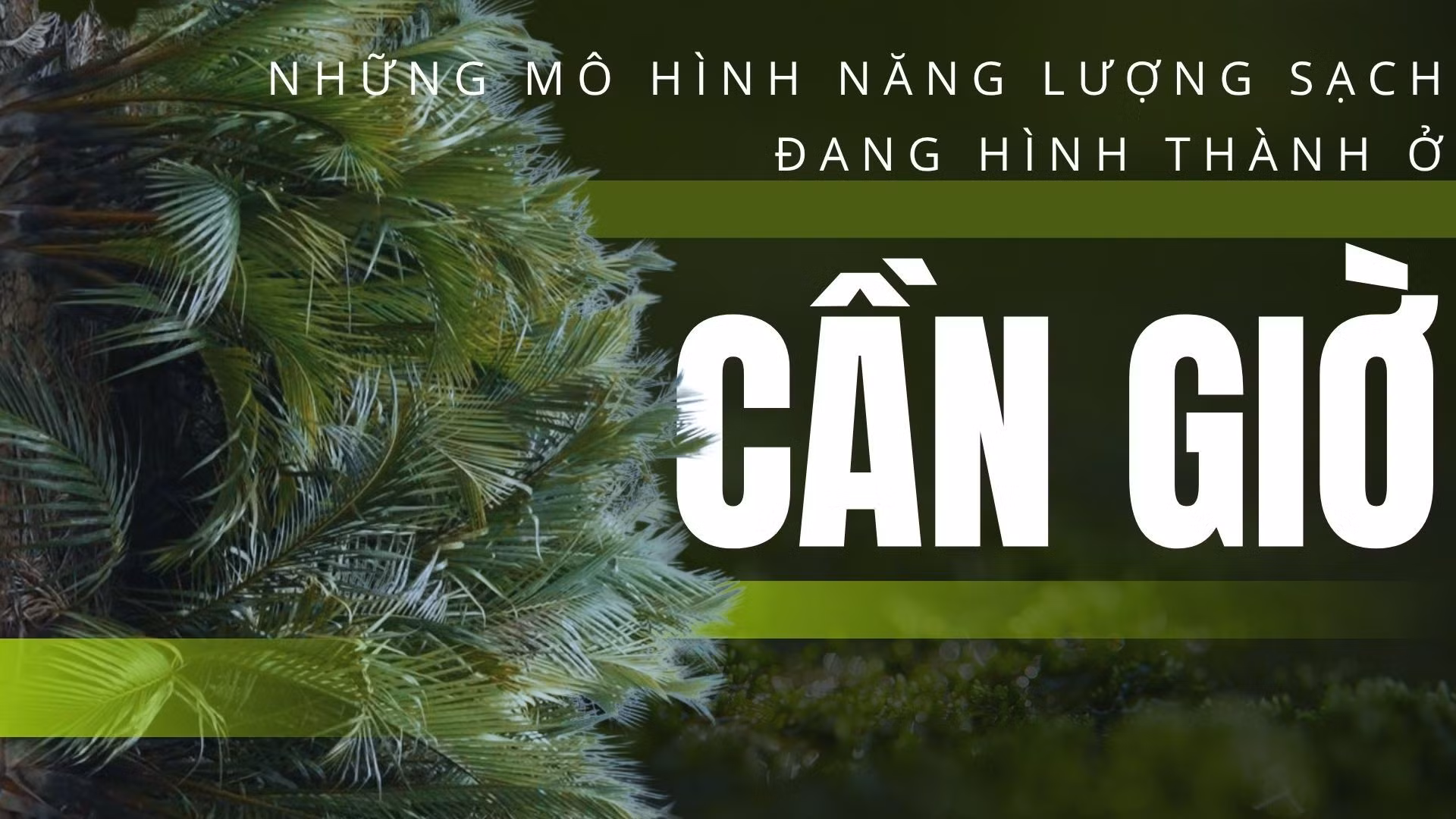 Những mô hình Bet88 free 100 tỷ lệ trả thưởng cực hấp dẫn sạch đang hình thành ở Cần Giờ