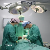 Các bác sỹ Bệnh viện Trung ương Huế và Đoàn phẫu thuật thiện nguyện Interplast phẫu thuật miễn phí cho các bệnh nhi có dị tật khe hở môi, vòm miệng. (Ảnh: Mai Trang/TTXVN)