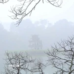 (Ảnh minh họa: Mai Hiền/TTXVN phát)