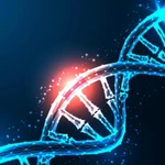 Nhờ ứng dụng công nghệ chỉnh sửa gene CRISPR, các tế bào miễn dịch có thể được biến đổi để tiêu diệt tế bào khối u hiệu quả hơn. (Nguồn: Shutterstock)