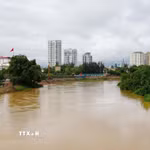 Mực nước sông Cầu đoạn chảy qua khu vực trung tâm tỉnh Thái Nguyên sáng 10/7/2026. (Ảnh: Hoàng Nguyên/TTXVN)