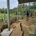 Hộ gia đình của bà Nguyễn Thị Thương, trú tại khối 2, xã Khe Sanh bị sạt lở nghiêm trọng. (Ảnh: TTXVN phát)