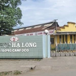 Công ty Cổ phần đồ hộp Hạ Long.