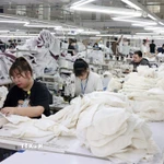 May hàng xuất khẩu. (Ảnh: Trần Việt/TTXVN)