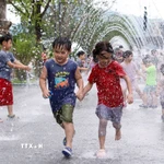 (Ảnh minh họa. THX/TTXVN)