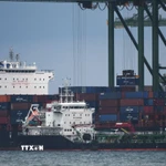 Cảng hàng hóa Pasir Panjang tại Singapore. (Nguồn: THX/TTXVN)