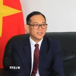 Đại sứ Việt Nam tại Algeria Trần Quốc Khánh. (Ảnh: Trung Khánh/TTXVN)