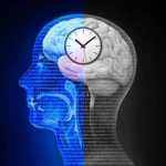 Nhịp sinh học và chu kỳ ngủ-thức bị ảnh hưởng bởi cách việc tiếp xúc với ánh sáng Mặt Trời điều hòa sự tiết melatonin trong não bộ và cơ thể con người. (iStock)