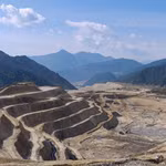 Ảnh minh họa. (Nguồn: China Daily)