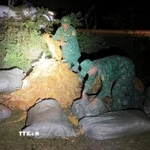 Hoạt động buôn lậu qua biên giới. (Ảnh minh họa: TTXVN phát)