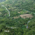 Những khúc cua liên tiếp ôm theo sườn núi cùng rừng thông và thung lũng tạo nên cảnh quan hùng vĩ, đặc trưng của đèo Ngoạn Mục. (Ảnh: Nguyễn Huy Thành/TTXVN)