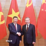 Tổng Bí thư Tô Lâm và Tổng Bí thư, Chủ tịch nước Trung Quốc Tập Cận Bình. (Ảnh: Thống Nhất/TTXVN)