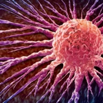 Ảnh minh họa. (Nguồn Shutterstock)