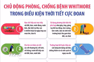Chủ động phòng, chống bệnh Whitmore trong điều kiện thời tiết cực đoan 
