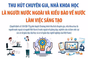 Thu hút chuyên gia, nhà khoa học là người nước ngoài, kiều bào về nước làm việc 