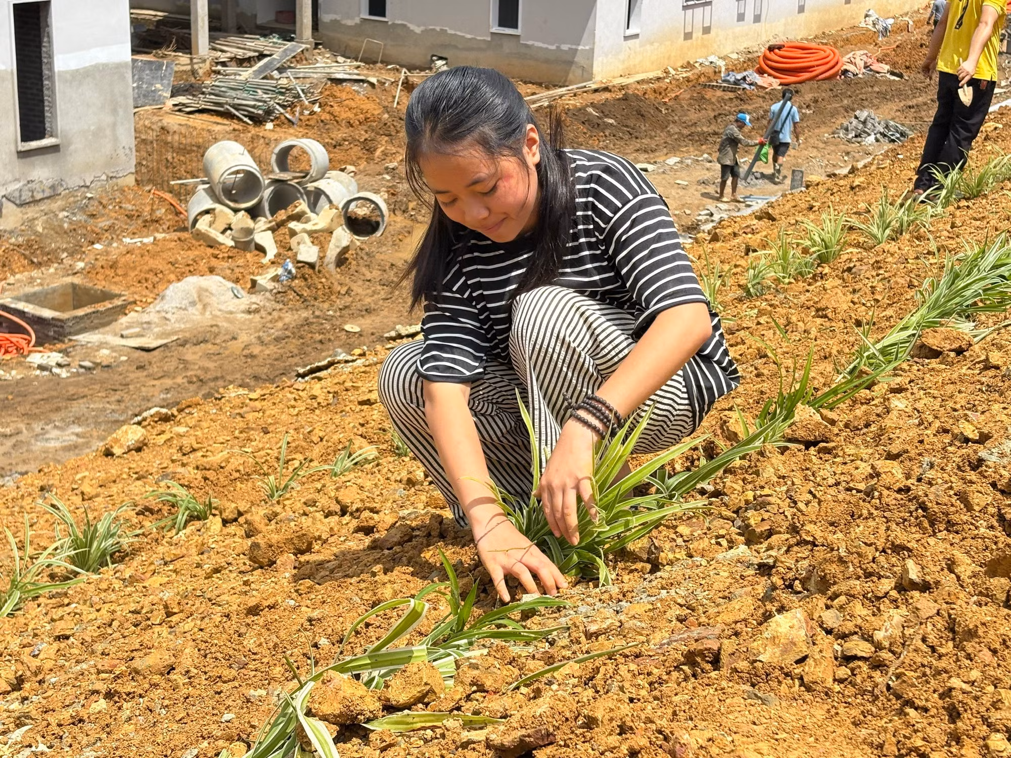 tra-linh.jpg