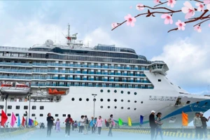Thông tin về tàu du lịch quốc tế 'xông đất' đầu năm Bính Ngọ 2026