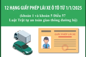 12 hạng giấy phép lái xe ôtô gồm những hạng gì?