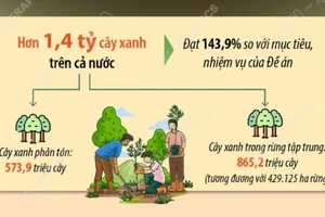 Hơn 1,4 tỷ cây xanh đã được trồng trong vòng 5 năm qua