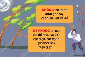 Ứng phó với bão số 3: Các biện pháp phòng tránh khi bão đổ bộ