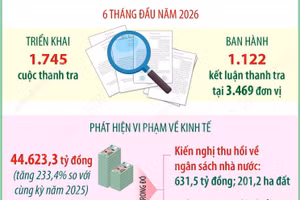 Thanh tra phát hiện vi phạm về kinh tế hơn 44.600 tỷ đồng trong 6 tháng
