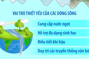 Ngày Quốc tế hành động vì các dòng sông 14/3: Bảo vệ sông ngòi, Bảo vệ con người