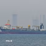Tàu chở hàng thả neo ngoài khơi bờ biển Các tiểu vương quốc Arab Thống nhất (UAE) do tuyến đường hàng hải bị gián đoạn ở eo biển Hormuz khi xung đột bùng phát giữa Mỹ-Israel và Iran. (Ảnh: Anadolu Agency/TTXVN)