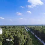 Tỉnh Cà Mau đã chủ động tăng cường ứng dụng công nghệ hiện đại để phát hiện sớm, phản ứng nhanh với các tình huống cháy rừng. (Ảnh: Huỳnh Anh/TTXVN)