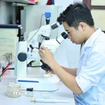 Ảnh minh họa. (Nguồn: TTXVN)